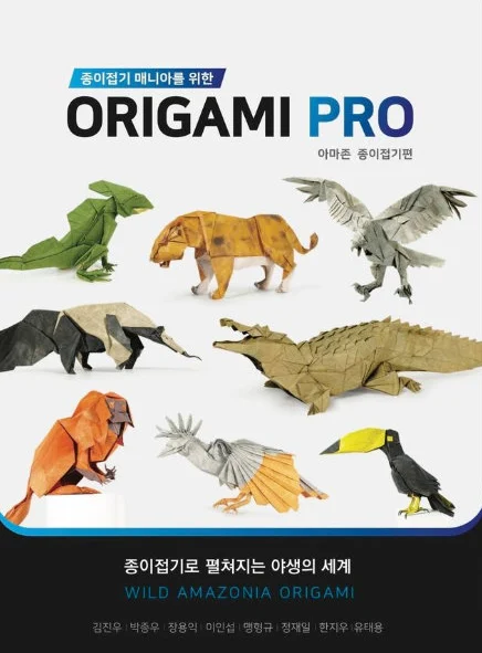 Cover of Origami Pro #6 - Wild Amazonia