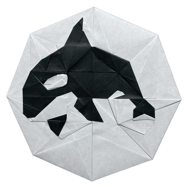 Origami Killer Whale designed by Wang Shuo, folded by Wang Shuo, using Duo Extra Large paper (Black / White)