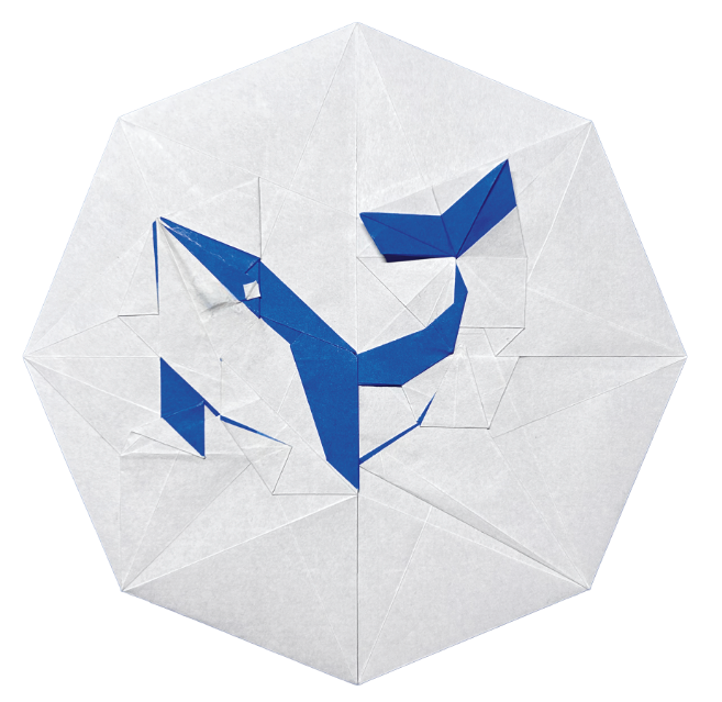Origami Whale designed by Wang Shuo, folded by Wang Shuo, using Duo Extra Large paper (bleu)