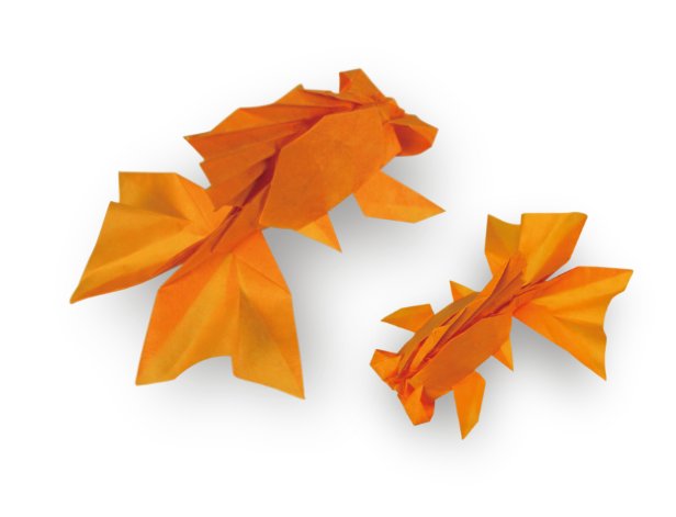 Origami Goldfish designed by Chen Xiao, folded by Chen Xiao