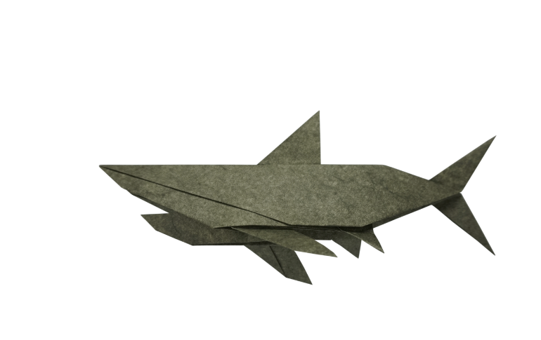 Origami Shark designed by Chen Xiao, folded by Chen Xiao, using Elephant Hide paper