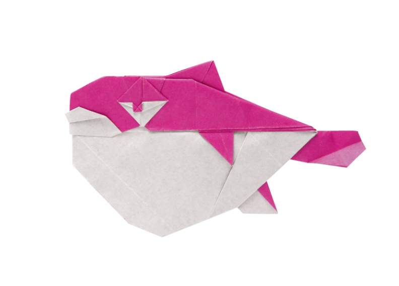 Origami Pufferfish designed by Syn / Jiahui Li