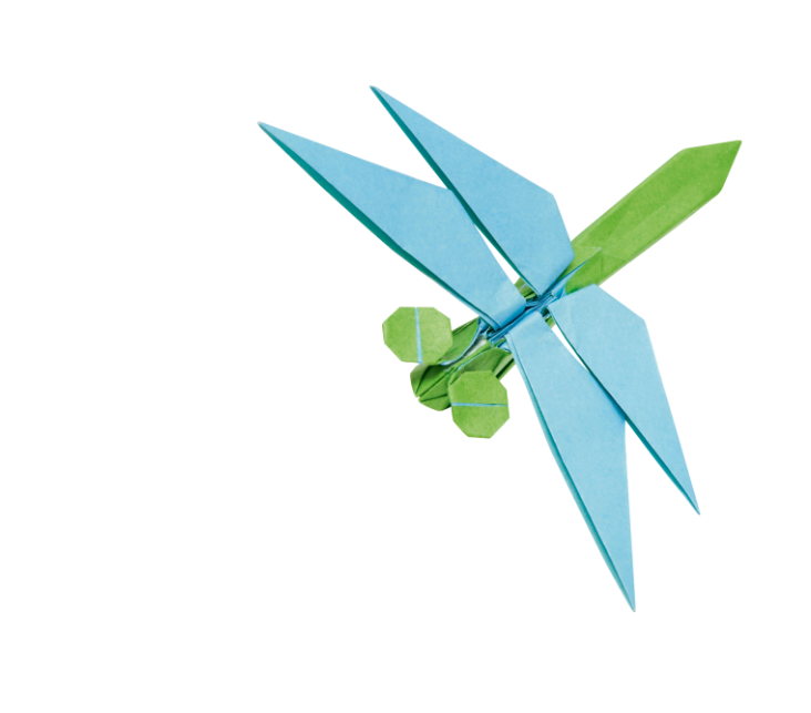 Origami Dragonfly designed by Syn / Jiahui Li, folded by Syn / Jiahui Li, using DUO-COLOR Extra Large paper (#08 DUO Green / Blue)