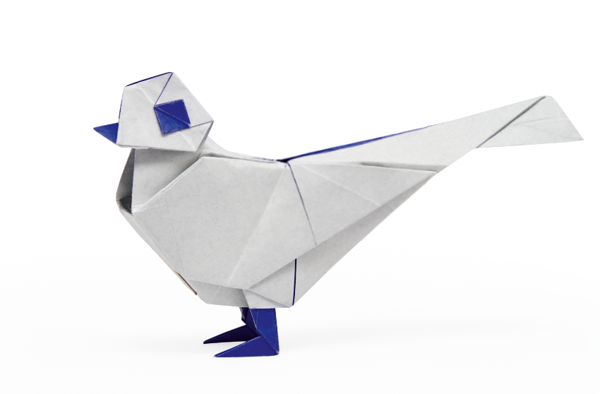 Origami Pigeon designed by Syn / Jiahui Li