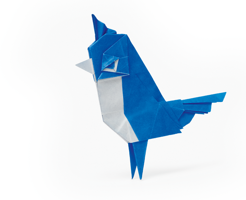 Origami Unhappy Bird designed by Syn / Jiahui Li
