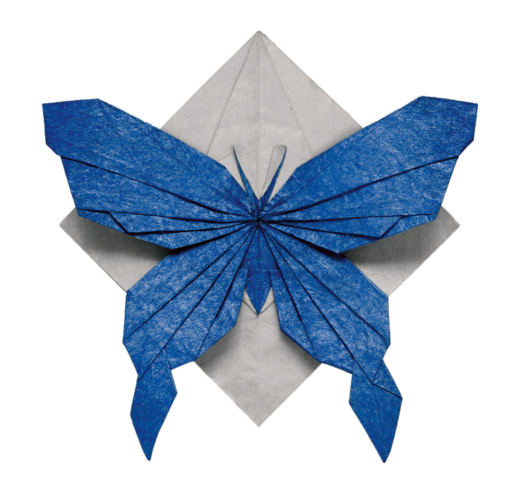 Origami Butterfly designed by Syn / Jiahui Li, folded by Syn / Jiahui Li