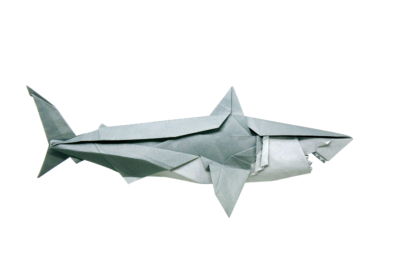 Shark