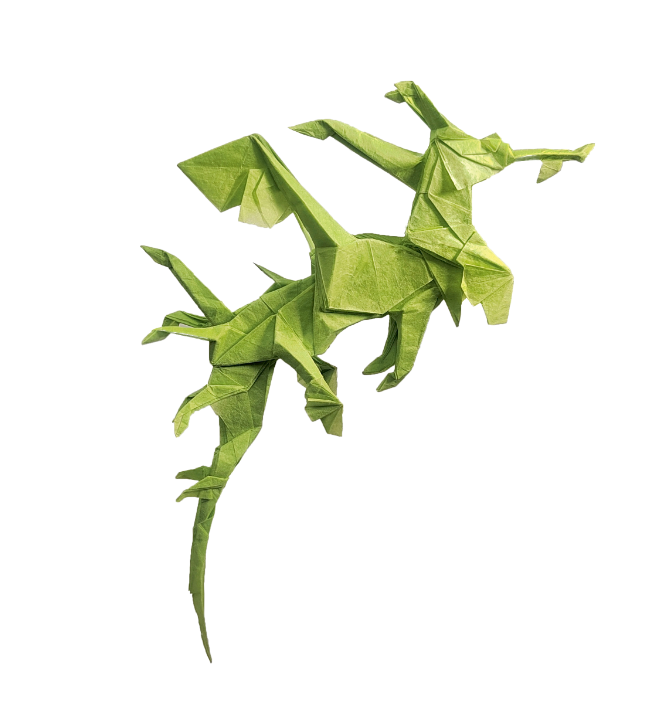 Leafy Sea Dragon