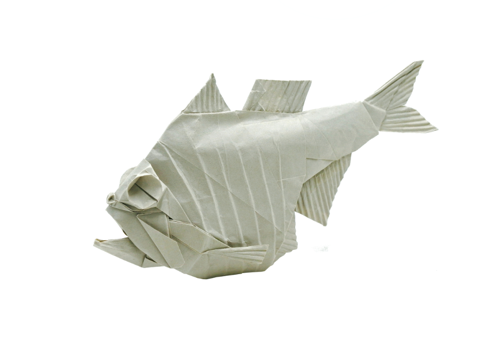 Hatchetfish