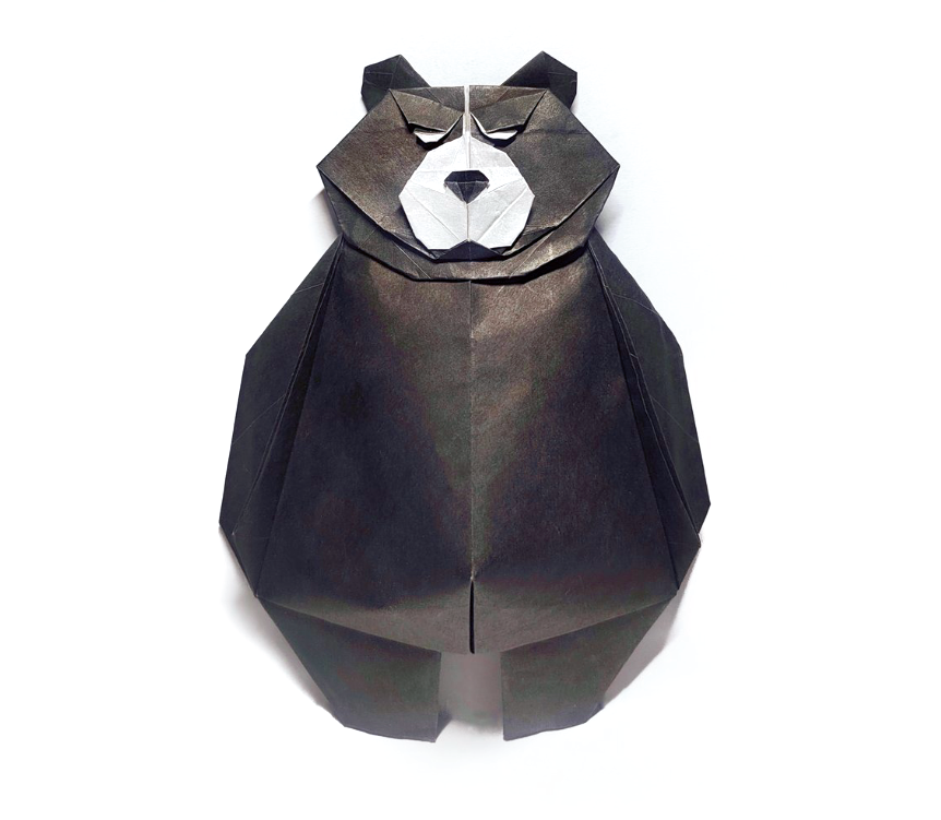 Bad bear