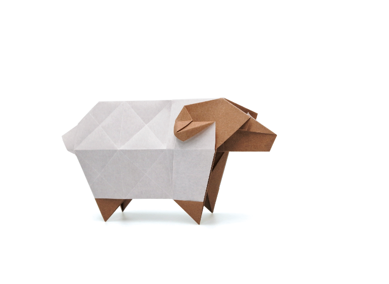 Sheep