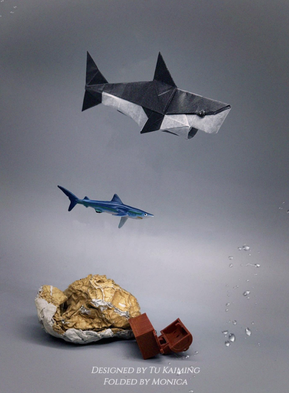 Mini Shark