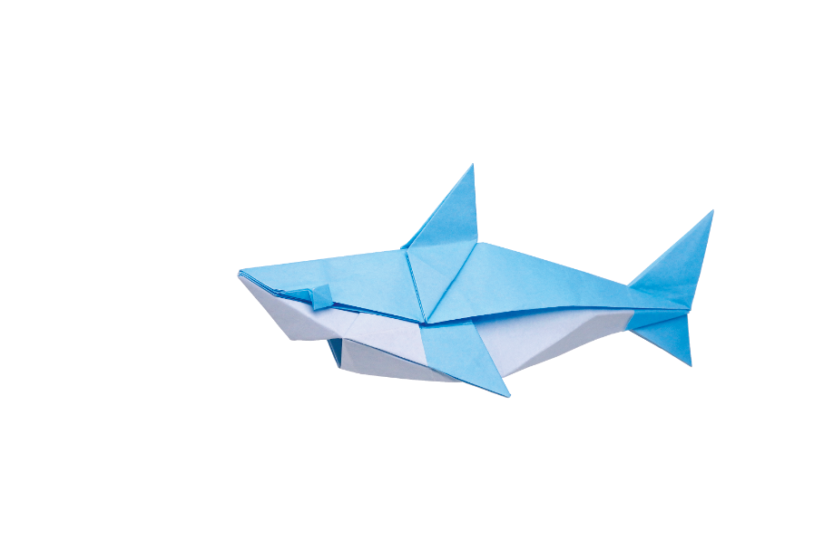 Mini Shark
