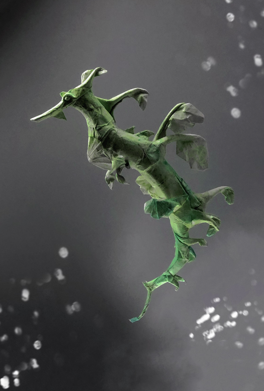 Leafy Sea Dragon