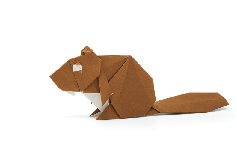 Origami Beaver designed by Syn / Jiahui Li, folded by Syn / Jiahui Li, using Duo Extra Large paper (#04 Brown)