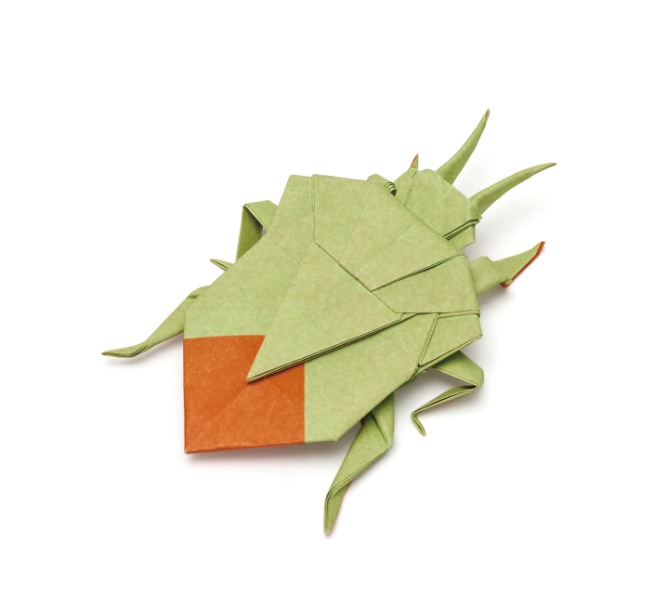 Origami Shieldbug designed by Syn / Jiahui Li, folded by Syn / Jiahui Li, using DUO-COLOR Extra Large paper (DUO Orange / Green)