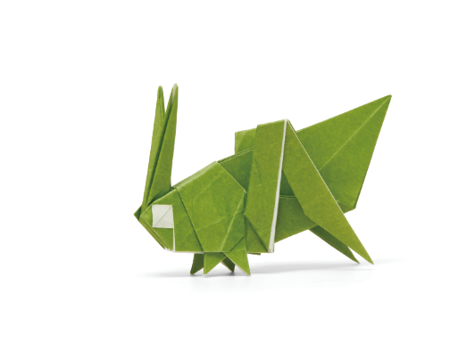 Origami Katydid designed by Syn / Jiahui Li, folded by Syn / Jiahui Li, using Duo Extra Large paper (#23 Green)