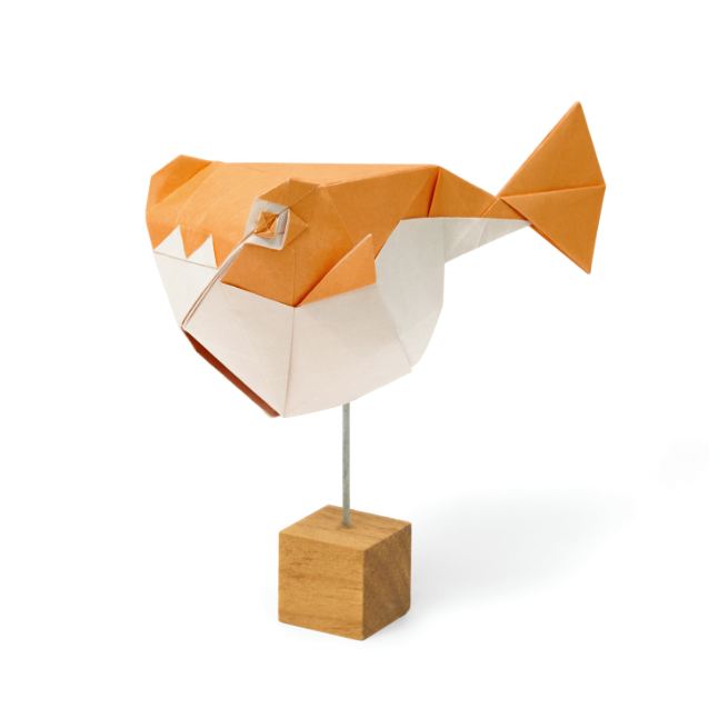 Origami Pufferfish designed by Syn / Jiahui Li, folded by Syn / Jiahui Li, using Duo Extra Large paper (Light Orange / White)