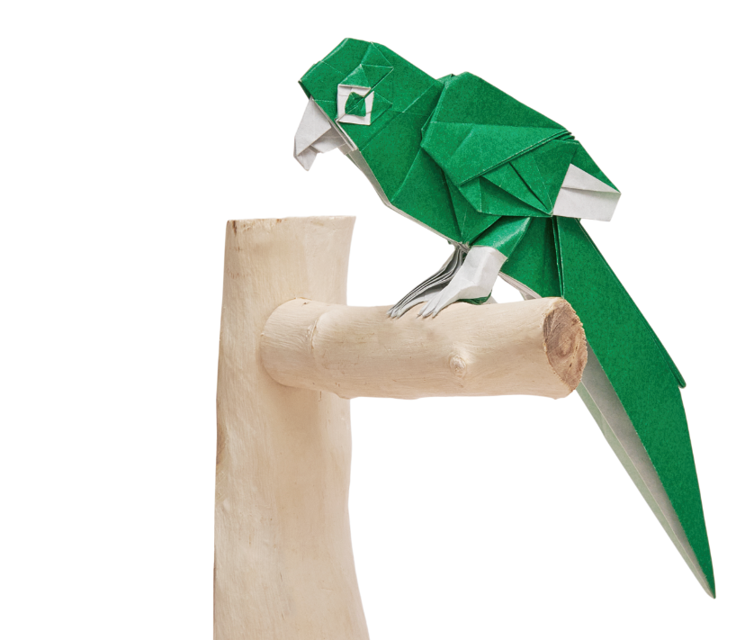 Origami Parrot designed by Syn / Jiahui Li, folded by Syn / Jiahui Li, using Duo Extra Large paper (#22 Forest Green)