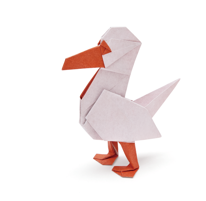 Origami Seagull designed by Syn / Jiahui Li, folded by Syn / Jiahui Li, using Duo Extra Large paper