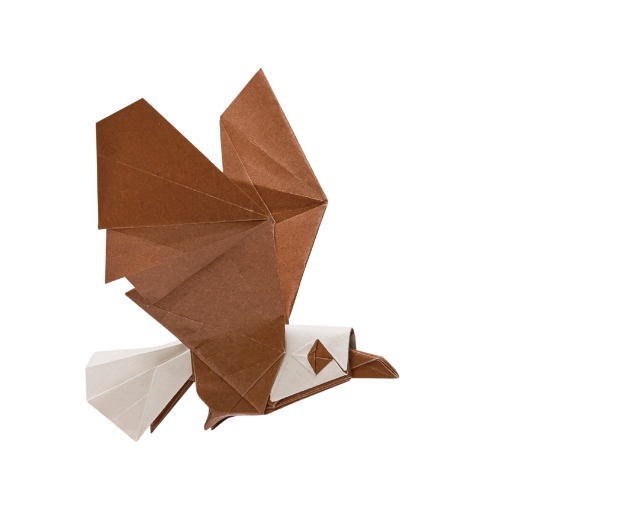 Origami Bald Eagle designed by Syn / Jiahui Li, folded by Syn / Jiahui Li, using Duo Extra Large paper (#04 Brown)