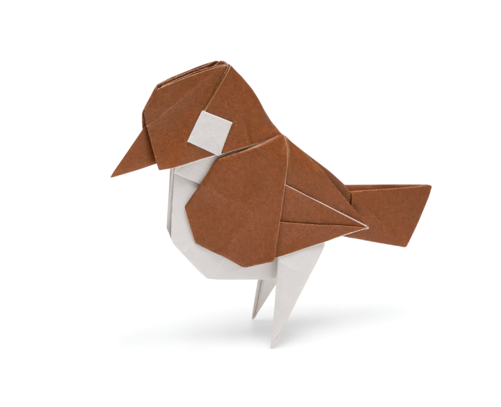 Origami Sparrow designed by Syn / Jiahui Li, folded by Syn / Jiahui Li, using Duo Extra Large paper (#04 Brown)