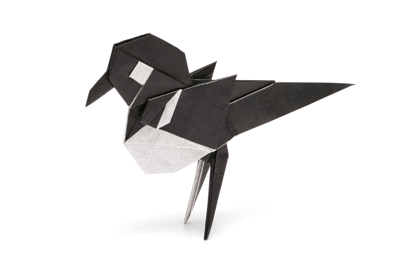 Origami Magpie designed by Syn / Jiahui Li, folded by Syn / Jiahui Li, using Duo Extra Large paper (#01 Black)