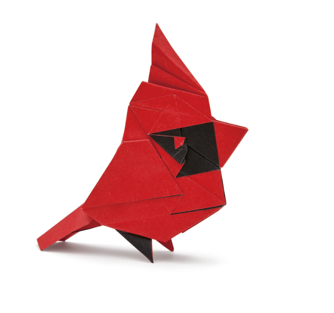 Origami Cardinal designed by Syn / Jiahui Li, folded by Syn / Jiahui Li, using DUO-COLOR Extra Large paper (#01 DUO Red / Black)