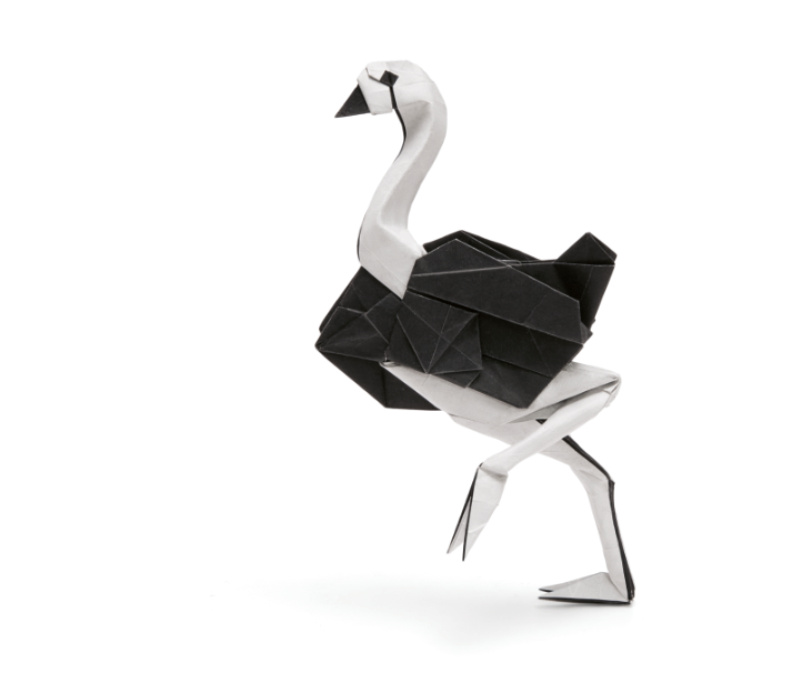 Origami Ostrich designed by Syn / Jiahui Li, folded by Syn / Jiahui Li, using Duo Extra Large paper (#01 Black)