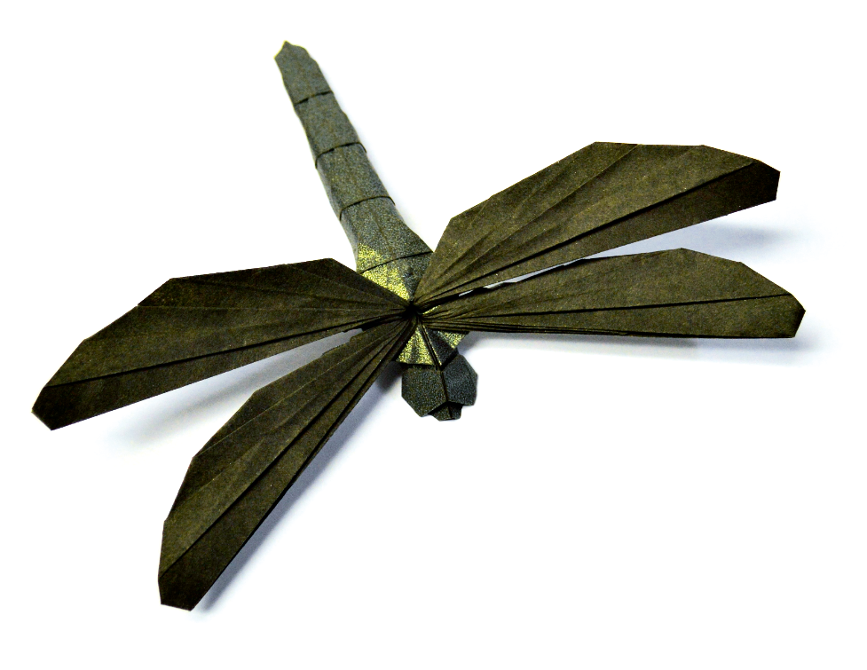 Origami Simple Dragonfly designed by Shuki Kato, folded by Shuki Kato, using Shadow Fold paper