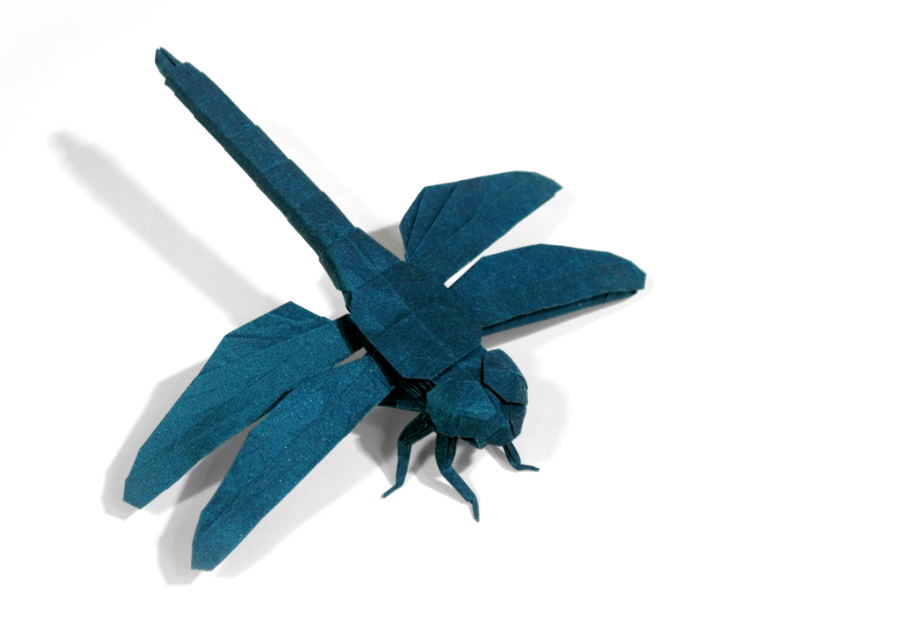 Origami Complex Dragonfly designed by Shuki Kato, folded by Shuki Kato, using Gerard Paper paper