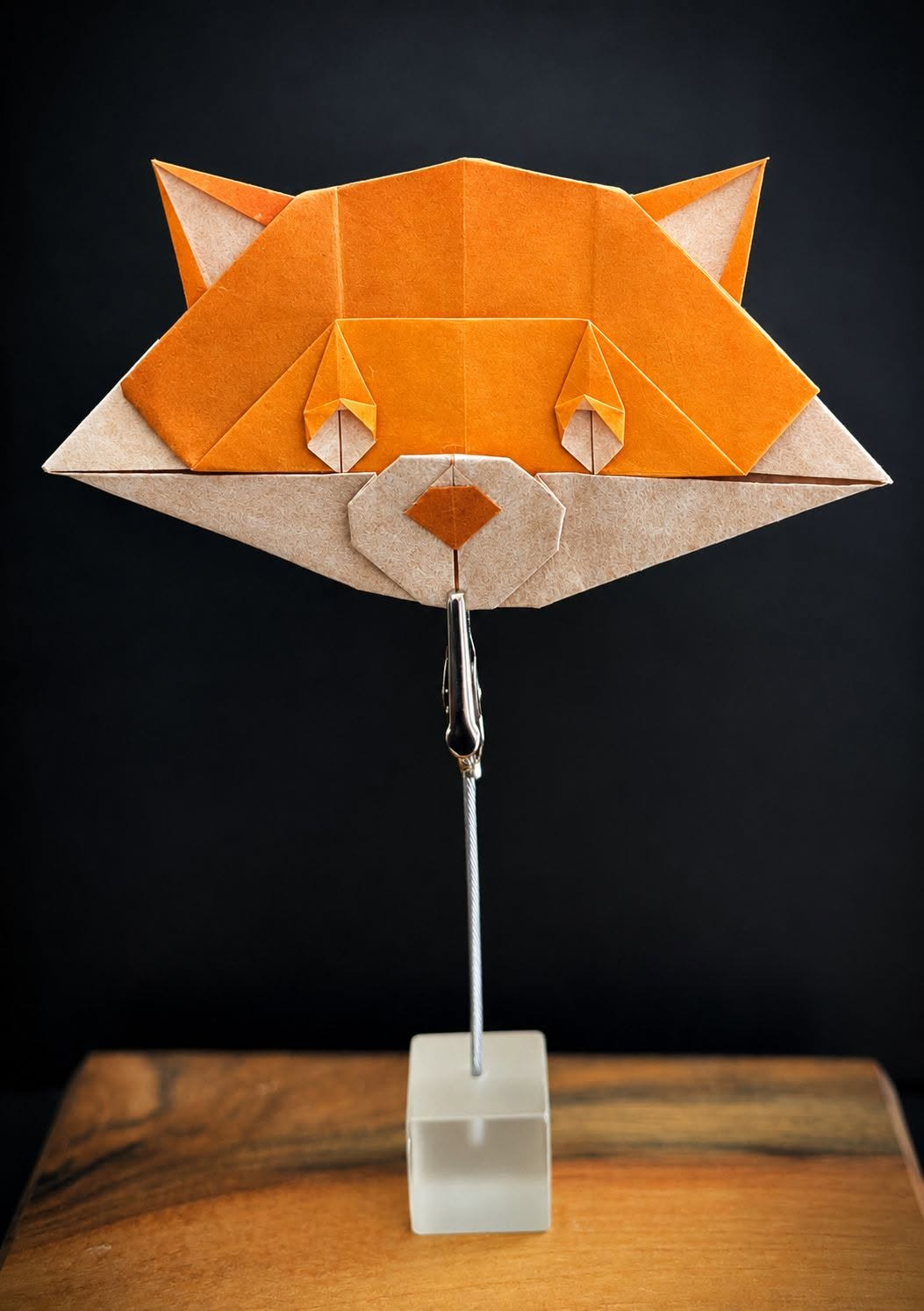 Fox Face
