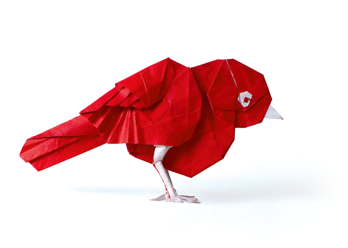 Origami Songbird designed by Sampreet Manna, folded by Sampreet Manna, using Duo Extra Large paper