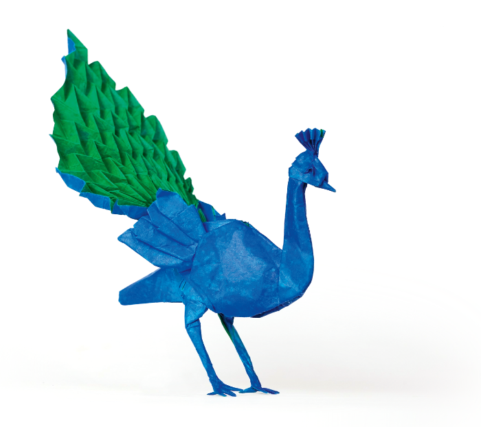Origami Peacock designed by Sampreet Manna, folded by Sampreet Manna