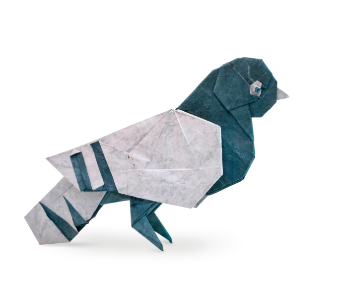 Origami Pigeon designed by Sampreet Manna, folded by Sampreet Manna