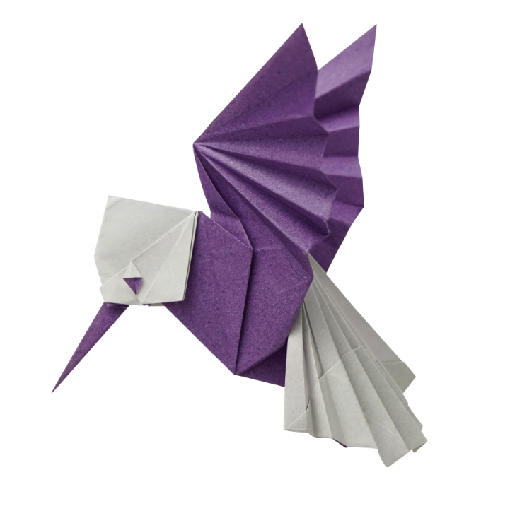 Origami Hummingbird designed by Sampreet Manna, folded by Sampreet Manna, using Duo Extra Large paper