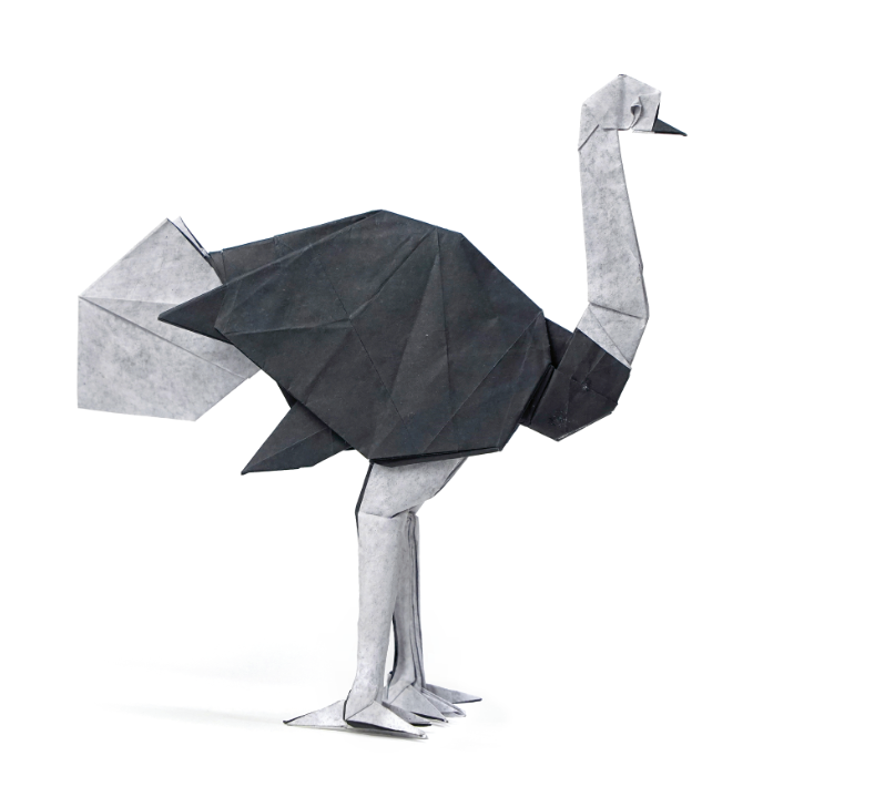 Origami Ostrich designed by Sampreet Manna, folded by Sampreet Manna, using Duo Extra Large paper