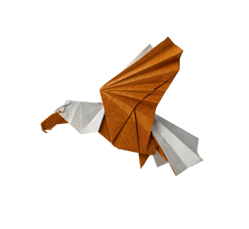 Origami Bald Eagle designed by Sampreet Manna, folded by Sampreet Manna, using Duo Extra Large paper