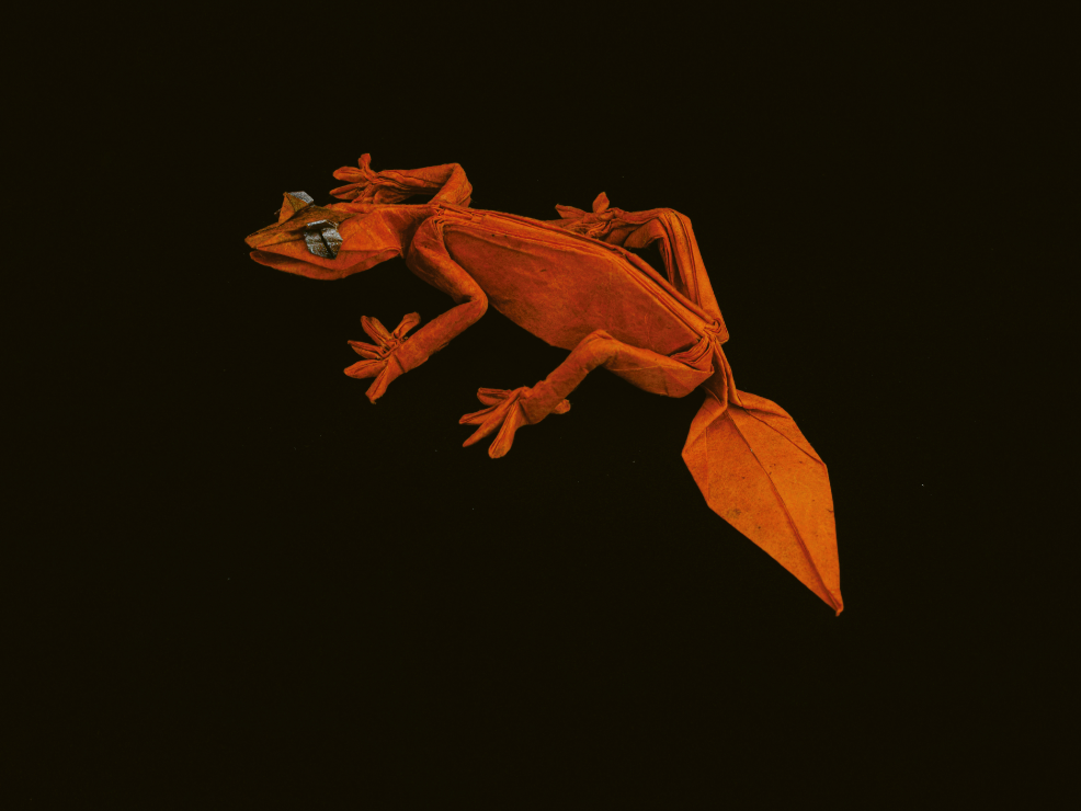 Leaf-tailed Gecko