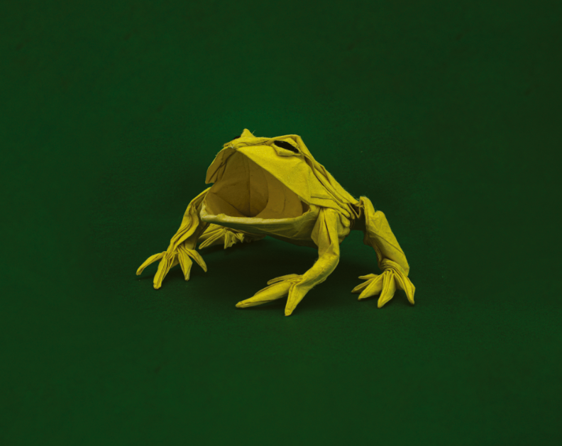 Pacman Frog