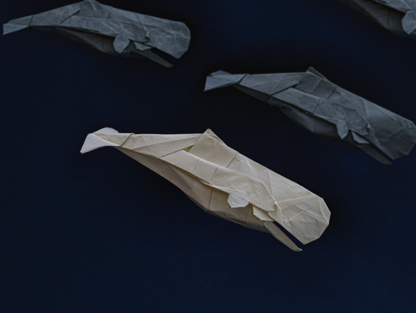 Sperm Whale