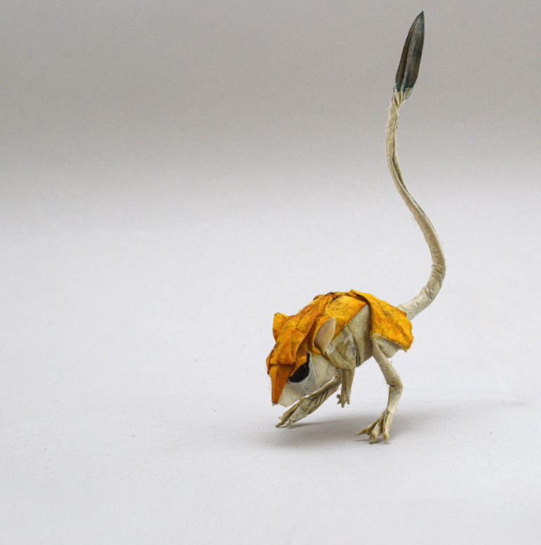 Pygmy Jerboa