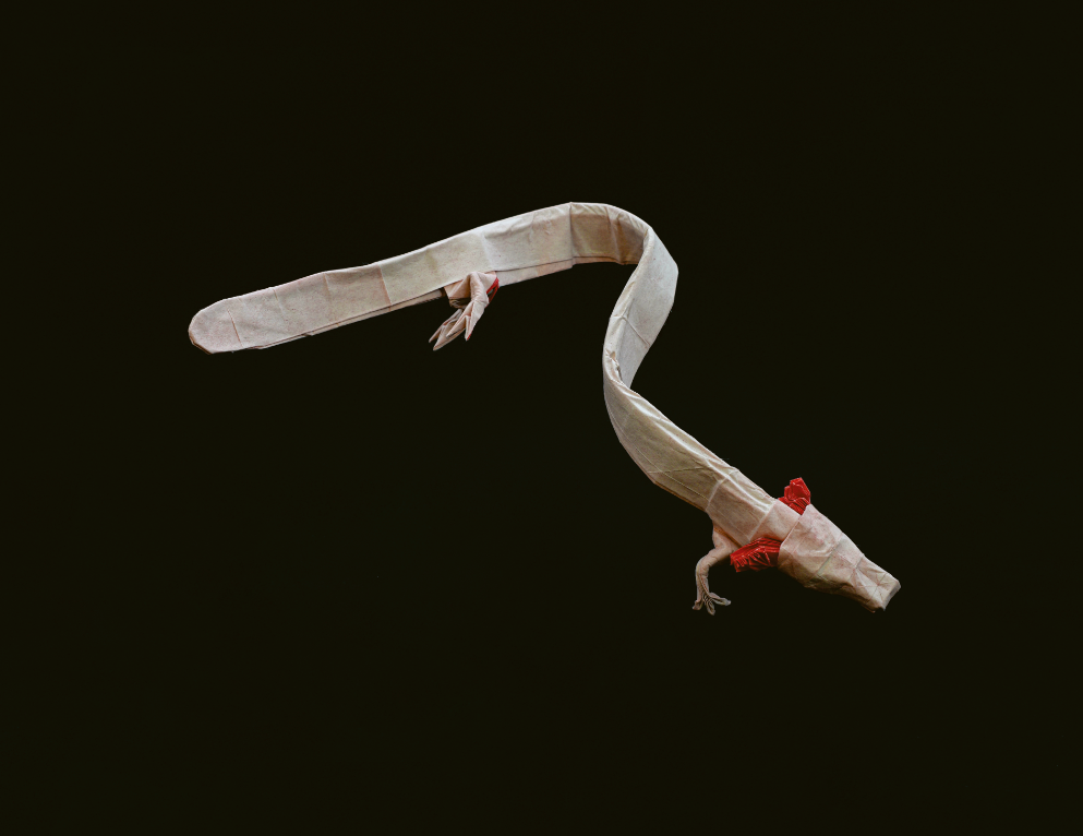 Olm