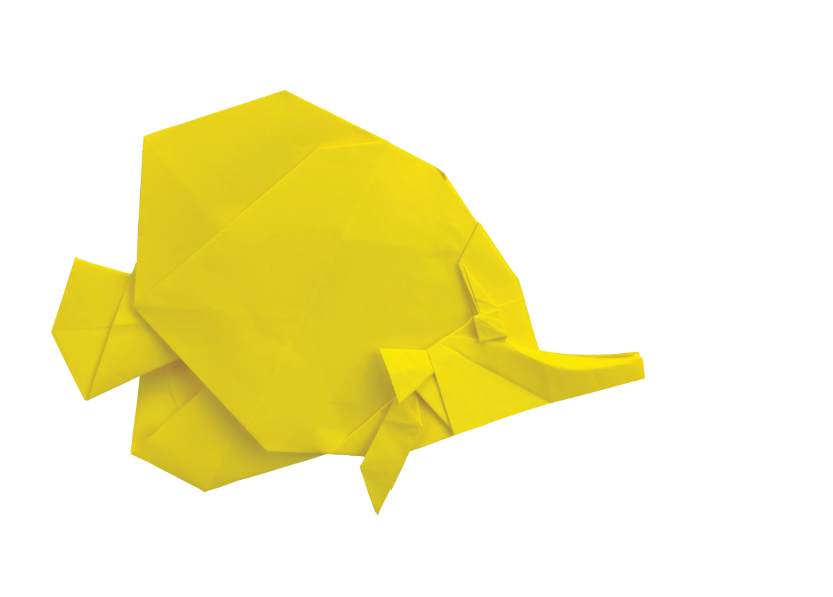 Origami Butterfly Fish designed by Meng Weining, folded by Meng Weining, using Duo Extra Large paper (#12 Yellow)