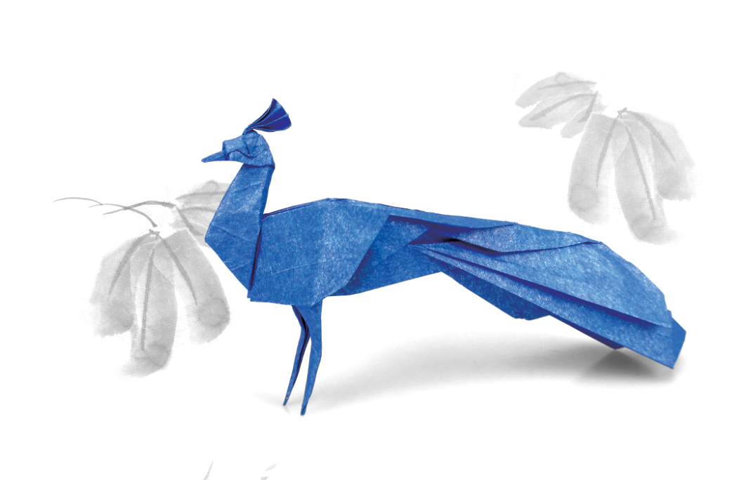 Origami Peacock designed by Meng Weining, folded by Meng Weining, using Sandwich paper