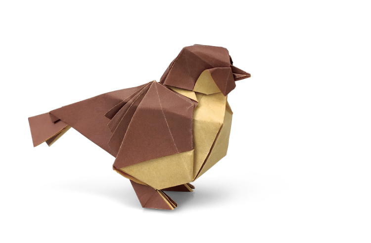 Origami Sparrow designed by Meng Weining, folded by Meng Weining, using DUO-COLOR Extra Large paper