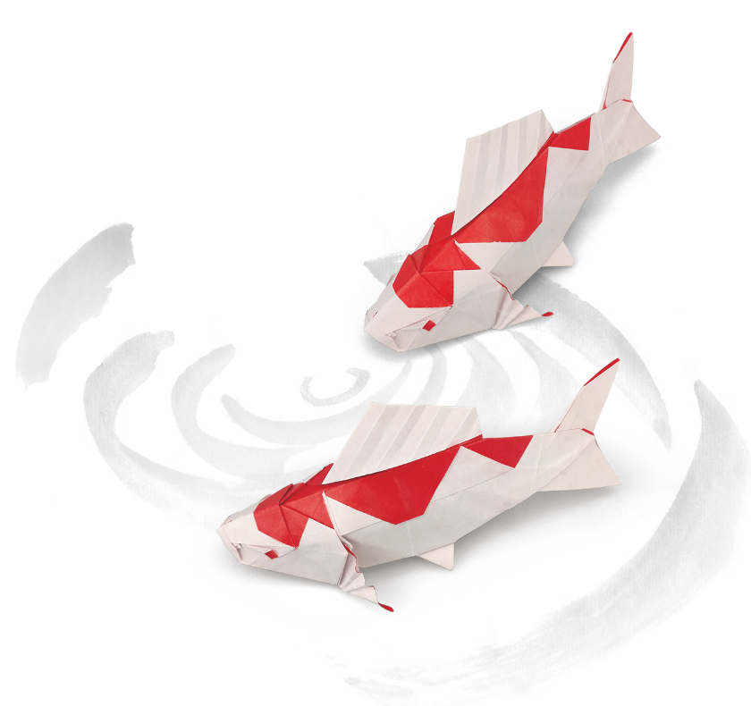 Origami Koi Carp designed by Meng Weining, folded by Meng Weining, using Duo Extra Large paper (#08 Red)