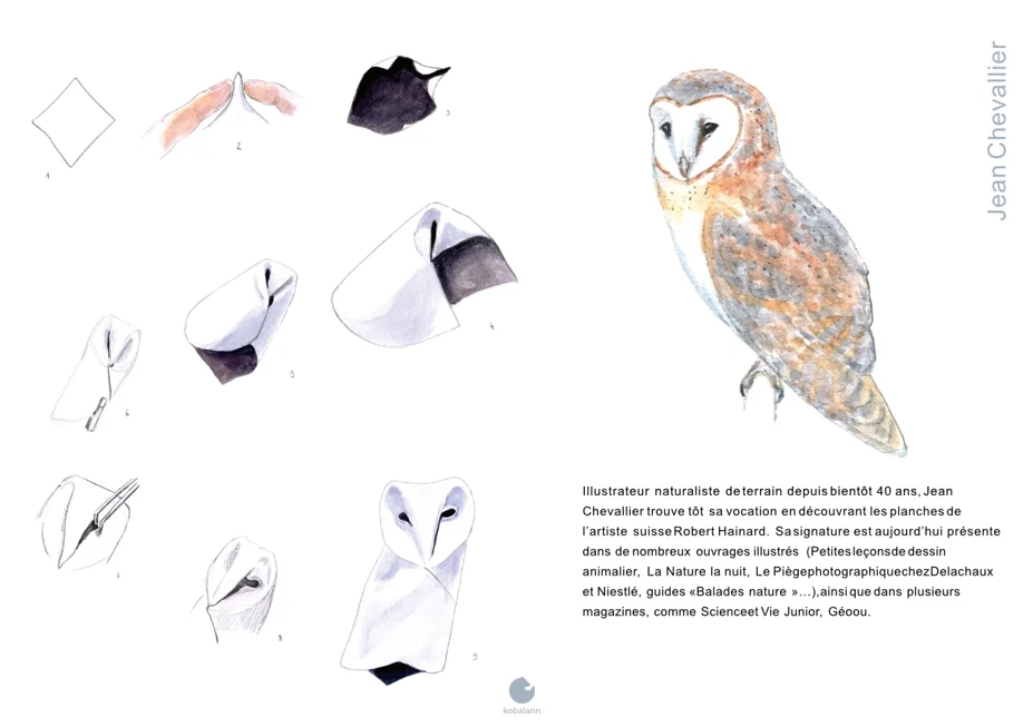 Contents of Origami Sauvage, page 4