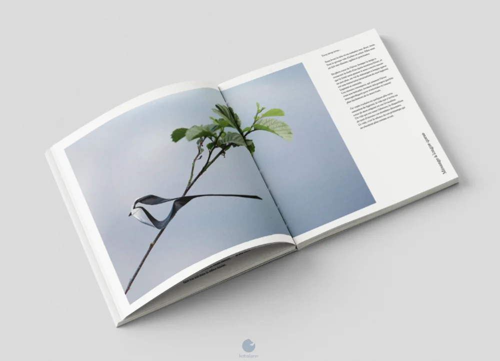 Contents of Origami Sauvage, page 2