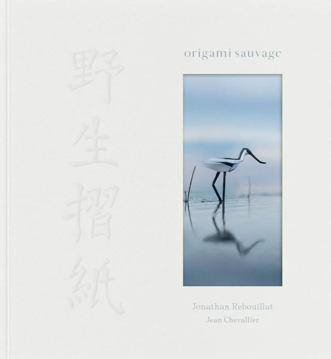 Cover of Origami Sauvage
